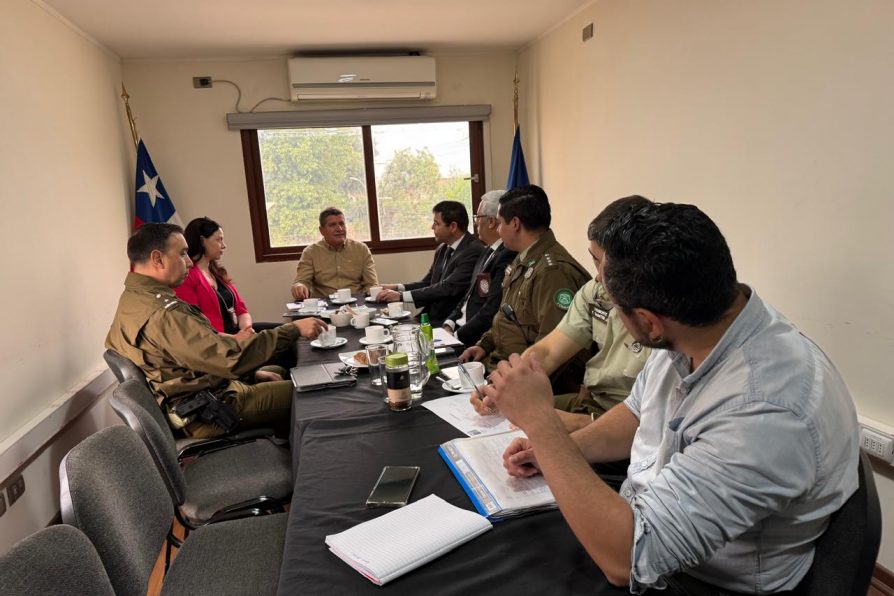 Delegación Presidencial de Marga Marga Refuerza Coordinación en Nueva Sesión del Comité Policial Provincial