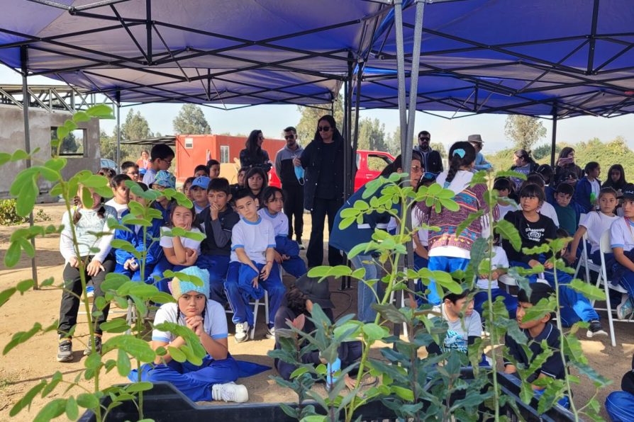 Delegación Presidencial celebra el Día de la Tierra con jornada educativa y plantación de árboles en Quilpué