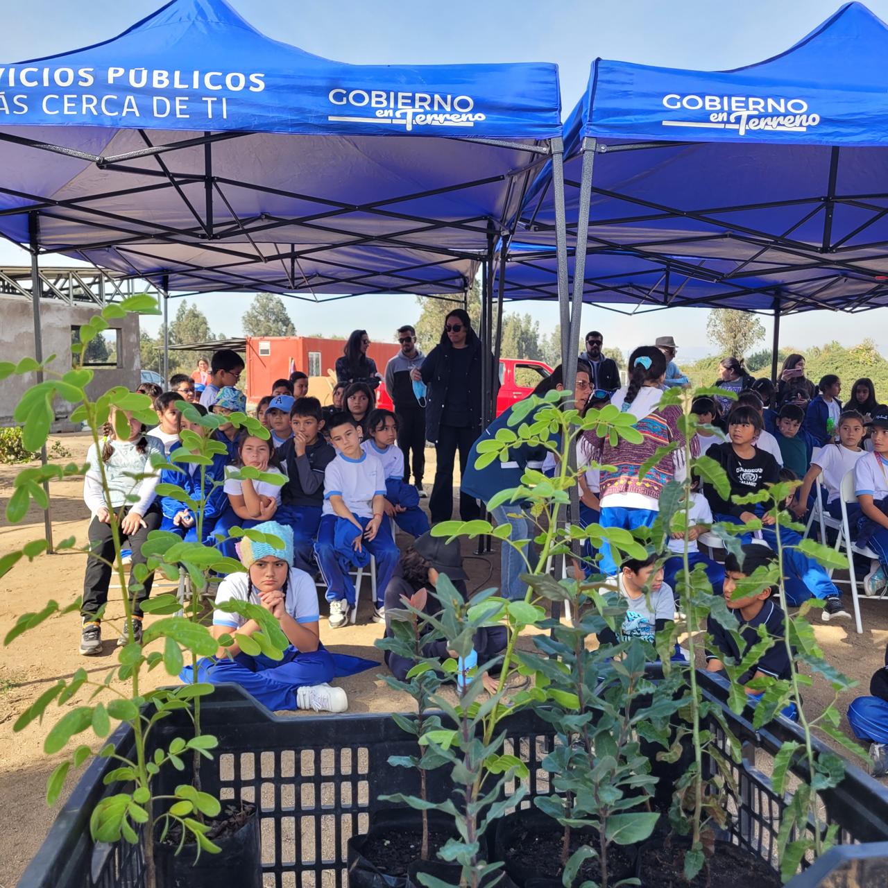 Delegación Presidencial celebra el Día de la Tierra con jornada educativa y plantación de árboles en Quilpué