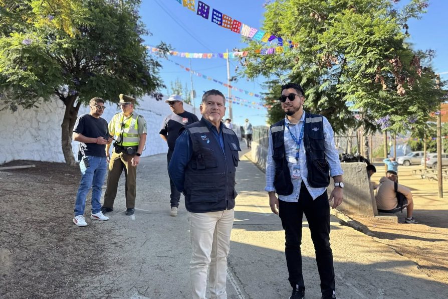 Visita en terreno a la tradicional festividad del Niño Dios de Las Palmas, en Olmué, en el contexto de las vísperas de Navidad